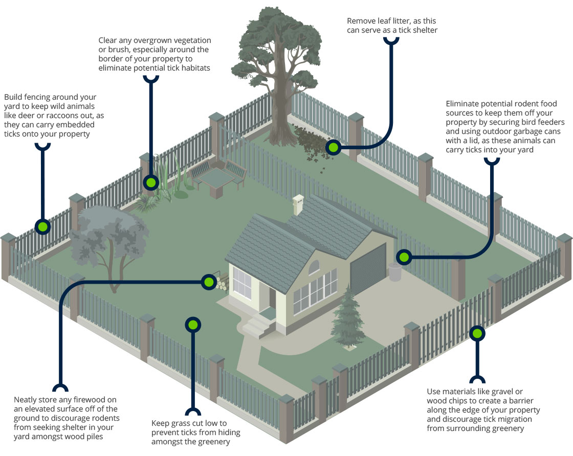 Isometric illustration of a backyard showing tick prevention tips including fencing, vegetation management, and proper yard maintenance